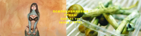 jwh Беломорск