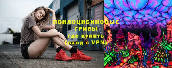 тгк Белокуриха